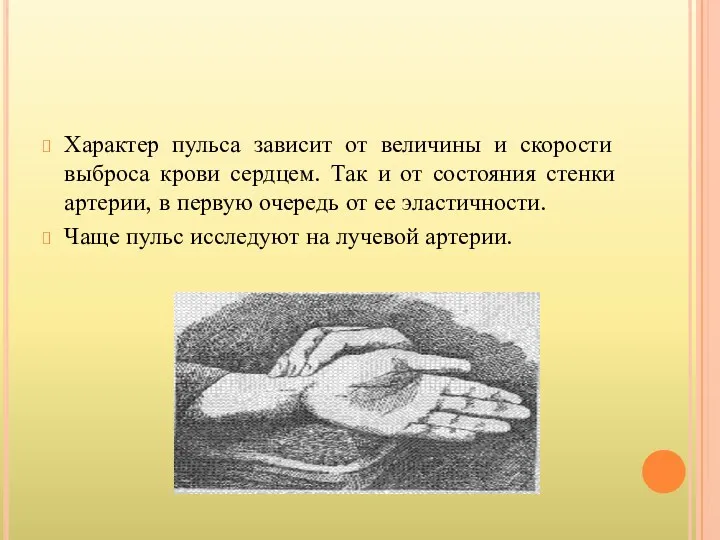 Характер пульса зависит от величины и скорости выброса крови сердцем.