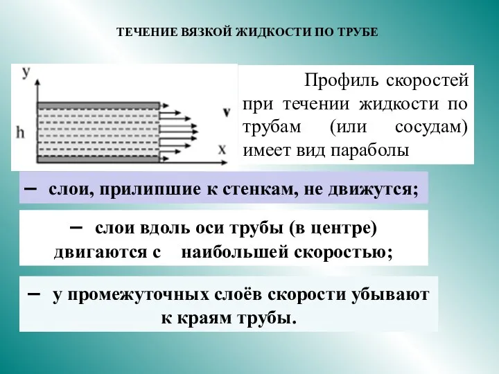 Профиль скоростей при течении жидкости по трубам (или сосудам) имеет