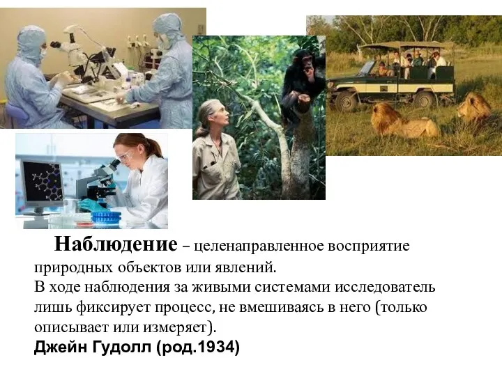 Наблюдение – целенаправленное восприятие природных объектов или явлений. В ходе