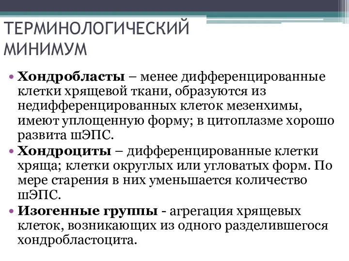 ТЕРМИНОЛОГИЧЕСКИЙ МИНИМУМ Хондробласты – менее дифференцированные клетки хрящевой ткани, образуются