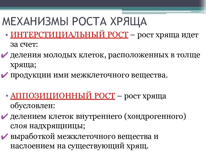 МЕХАНИЗМЫ РОСТА ХРЯЩА ИНТЕРСТИЦИАЛЬНЫЙ РОСТ – рост хряща идет за