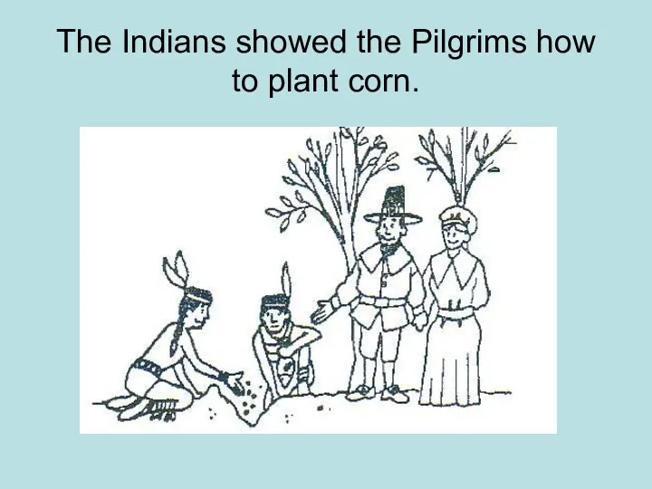 The Indians showed the Pilgrims how to plant corn.