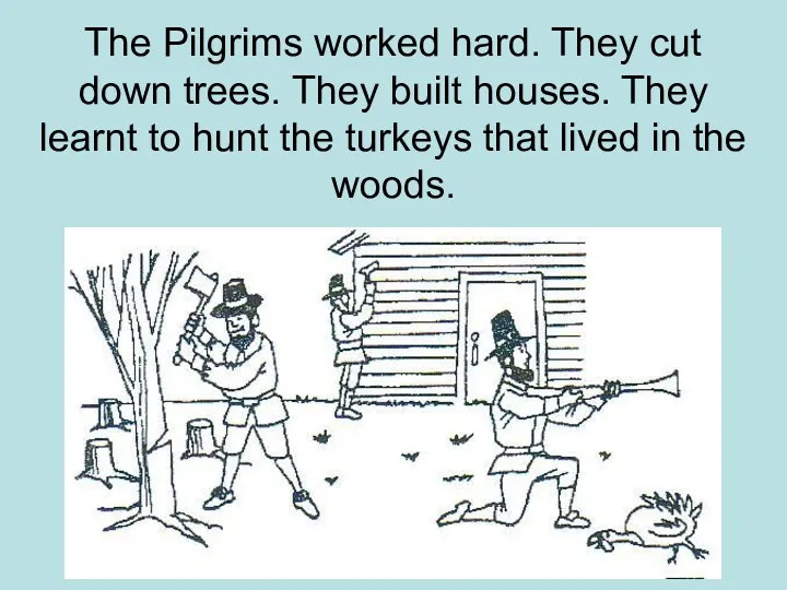 The Pilgrims worked hard. They cut down trees. They built