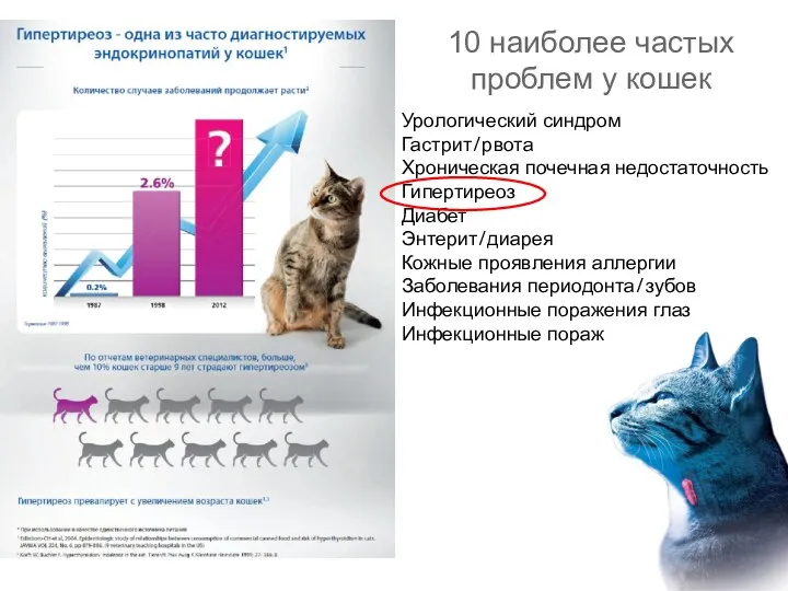 Урологический синдром Гастрит/рвота Хроническая почечная недостаточность Гипертиреоз Диабет Энтерит/диарея Кожные