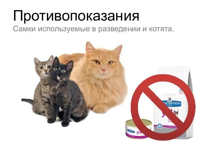 Противопоказания Самки используемые в разведении и котята.