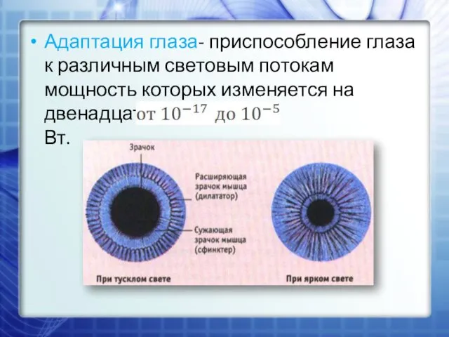 Адаптация глаза- приспособление глаза к различным световым потокам мощность которых изменяется на двенадцать порядков- Вт.