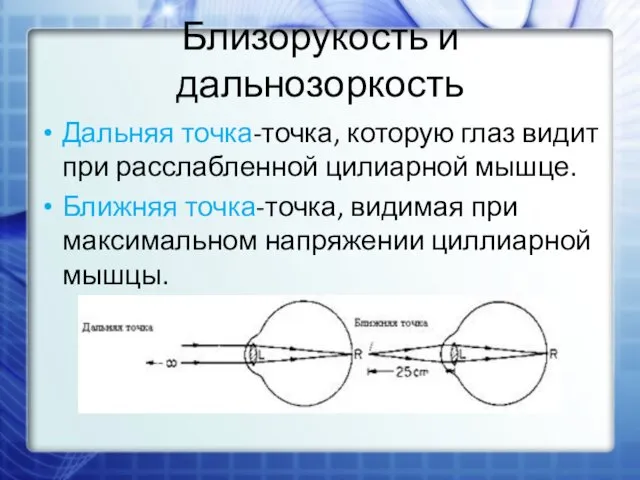 Близорукость и дальнозоркость Дальняя точка-точка, которую глаз видит при расслабленной цилиарной мышце. Ближняя