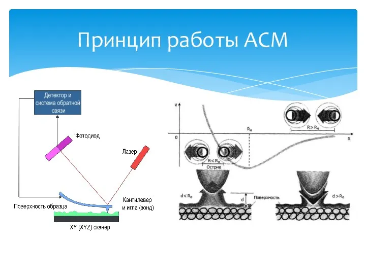 Принцип работы АСМ