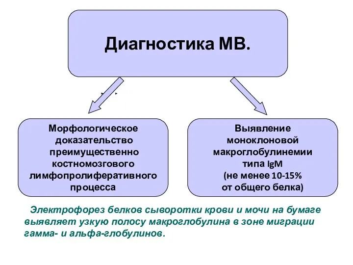 Морфологическое доказательство преимущественно костномозгового лимфопролиферативного процесса Выявление моноклоновой макроглобулинемии типа