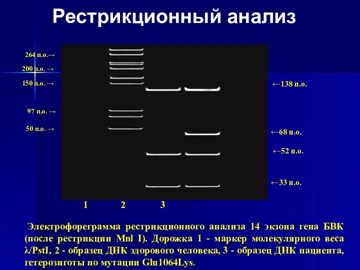 Рестрикционный анализ