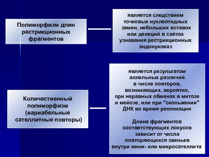 Полиморфизм длин рестрикционных фрагментов Количественный полиморфизм (вариабельные сателлитные повторы) является