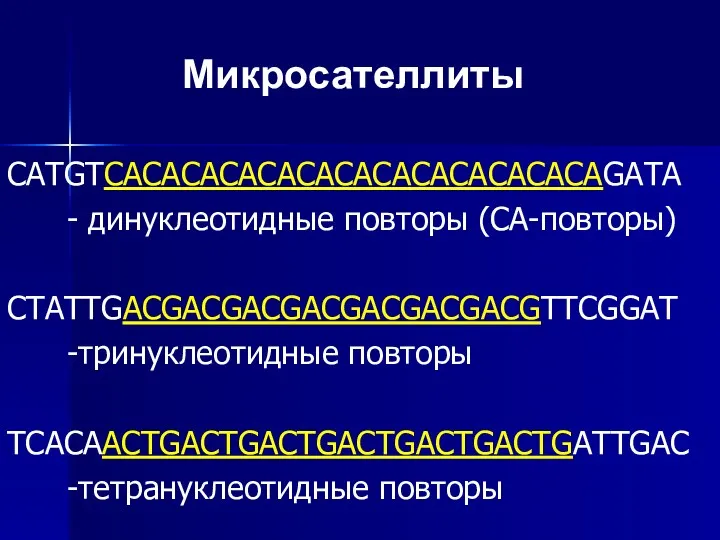 Микросателлиты CATGTCAСАСАСАСАСАСАСАСАСАСАСАСАGATA - динуклеотидные повторы (CA-повторы) CTATTGACGACGACGACGACGACGACGTTCGGAT -тринуклеотидные повторы TCACAACTGACTGACTGACTGACTGACTGATTGAC -тетрануклеотидные повторы