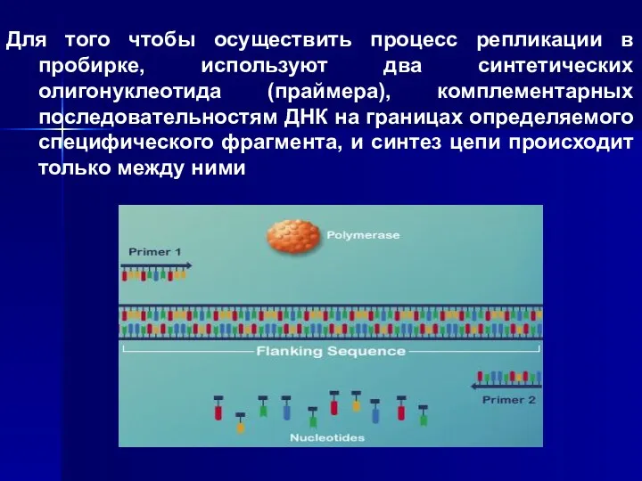 Для того чтобы осуществить процесс репликации в пробирке, используют два