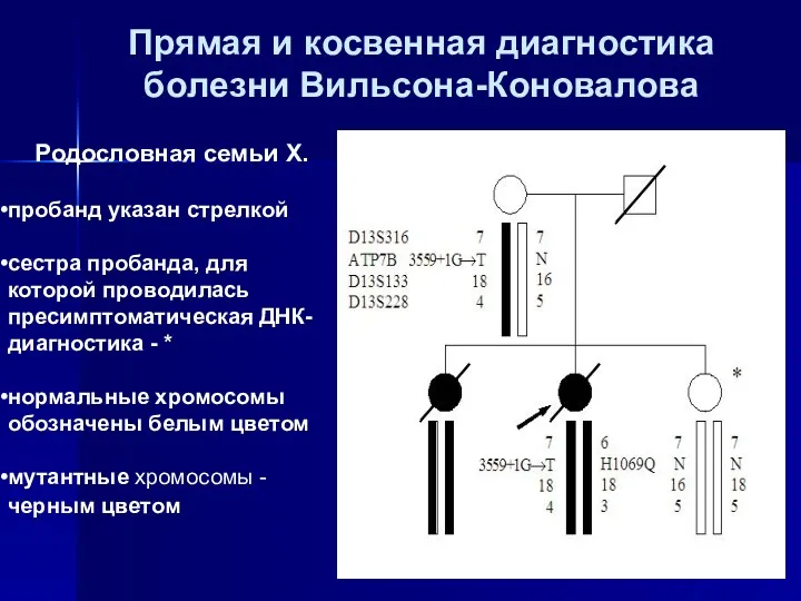 Прямая и косвенная диагностика болезни Вильсона-Коновалова Родословная семьи Х. пробанд