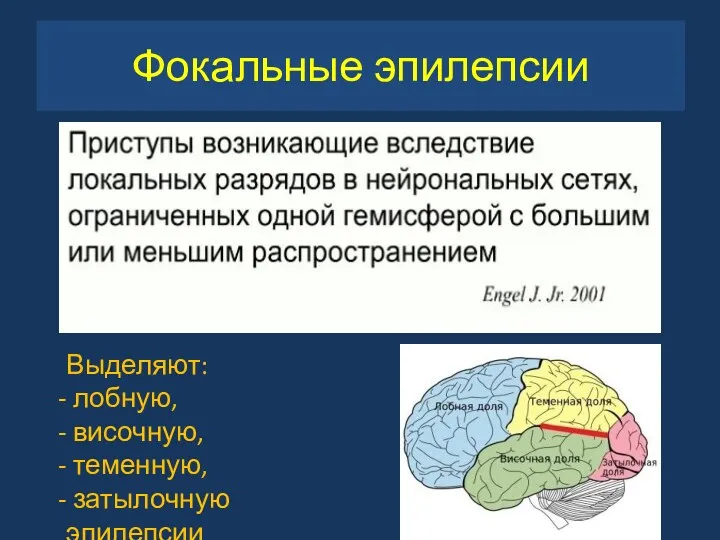 Фокальные эпилепсии Выделяют: лобную, височную, теменную, затылочную эпилепсии