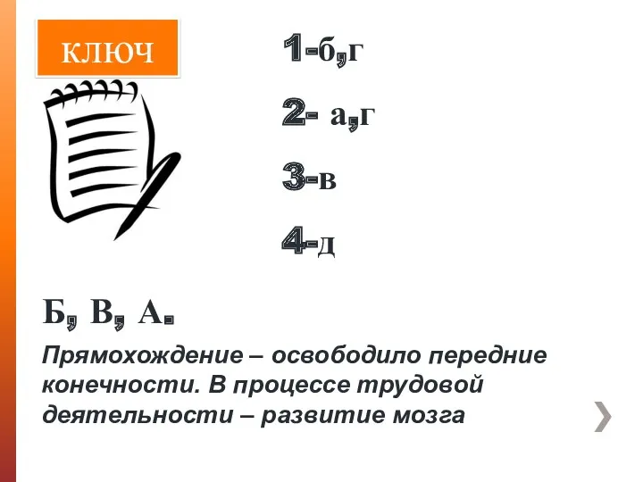 1-б,г 2- а,г 3-в 4-д Б, В, А. ключ Прямохождение