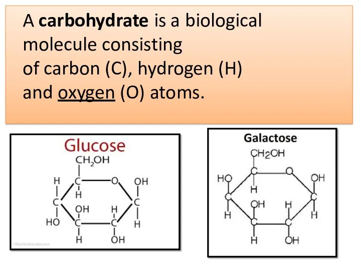 A carbohydrate is a biological molecule consisting of carbon (C), hydrogen (H) and oxygen (O) atoms.