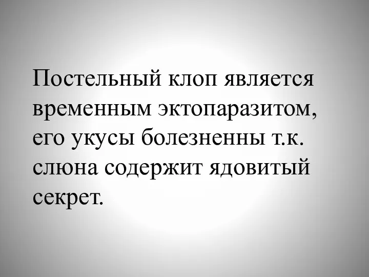 Постельный клоп является временным эктопаразитом, его укусы болезненны т.к. слюна содержит ядовитый секрет.