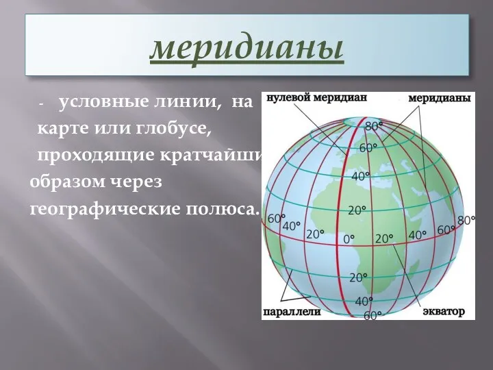 меридианы условные линии, на карте или глобусе, проходящие кратчайшим образом через географические полюса.
