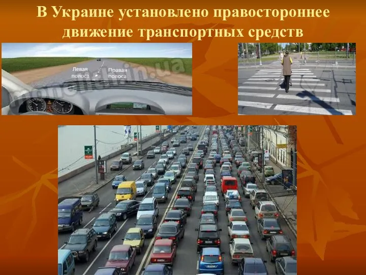 В Украине установлено правостороннее движение транспортных средств