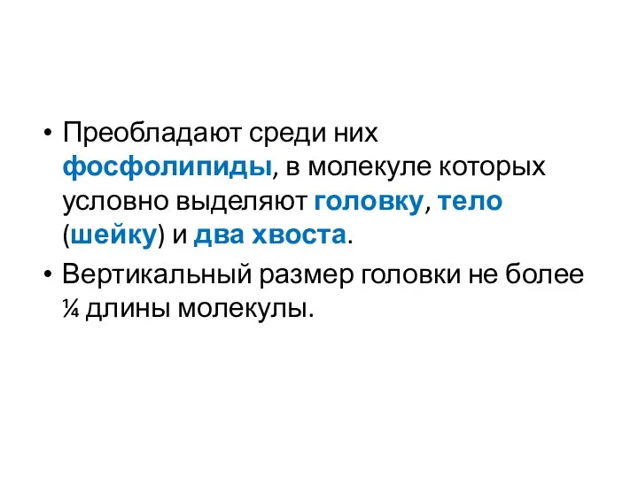 Преобладают среди них фосфолипиды, в молекуле которых условно выделяют головку,