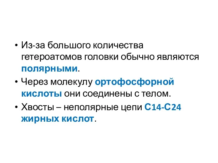 Из-за большого количества гетероатомов головки обычно являются полярными. Через молекулу