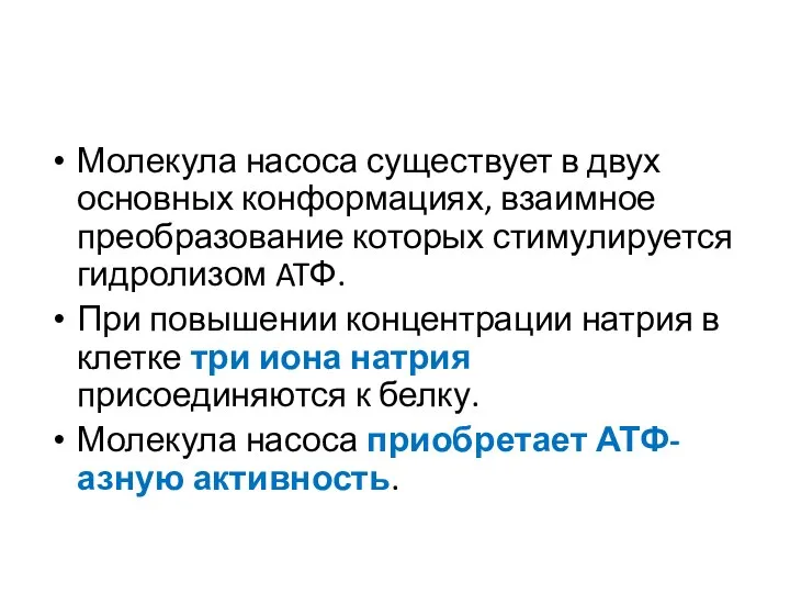 Молекула насоса существует в двух основных конформациях, взаимное преобразование которых