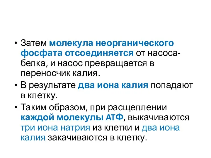 Затем молекула неорганического фосфата отсоединяется от насоса-белка, и насос превращается