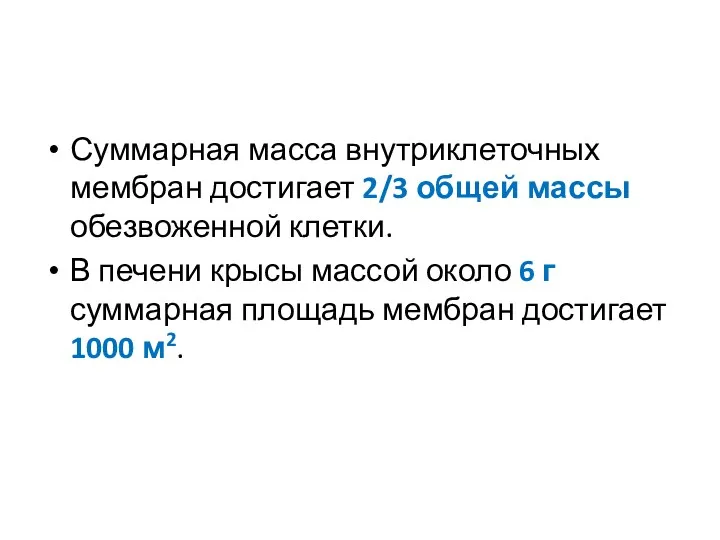 Суммарная масса внутриклеточных мембран достигает 2/3 общей массы обезвоженной клетки.