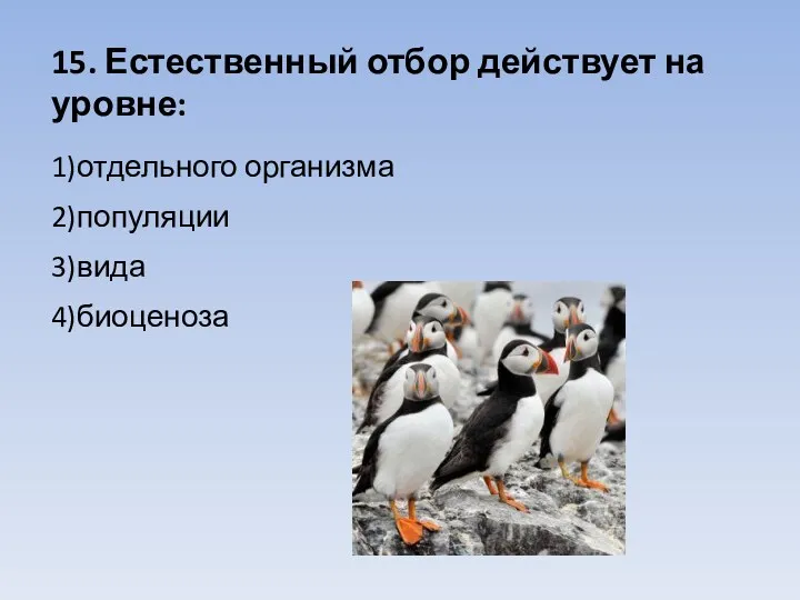 15. Естественный отбор действует на уровне: 1)отдельного организма 2)популяции 3)вида 4)биоценоза