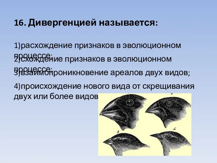 16. Дивергенцией называется: 1)расхождение признаков в эволюционном процессе; 2)схождение признаков