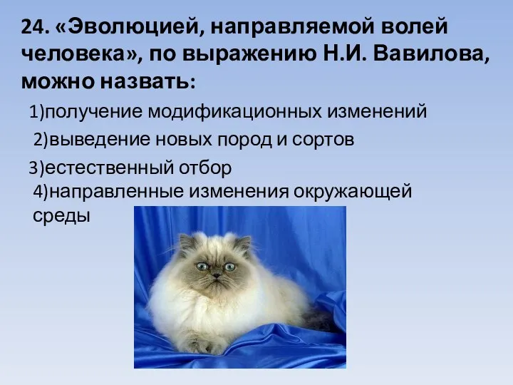 24. «Эволюцией, направляемой волей человека», по выражению Н.И. Вавилова, можно