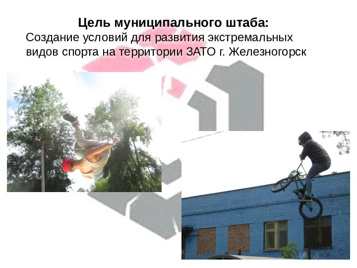 Цель муниципального штаба: Создание условий для развития экстремальных видов спорта на территории ЗАТО г. Железногорск
