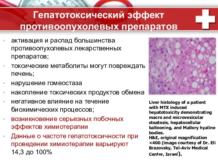 Гепатотоксический эффект противоопухолевых препаратов активация и распад большинства противоопухолевых лекарственных