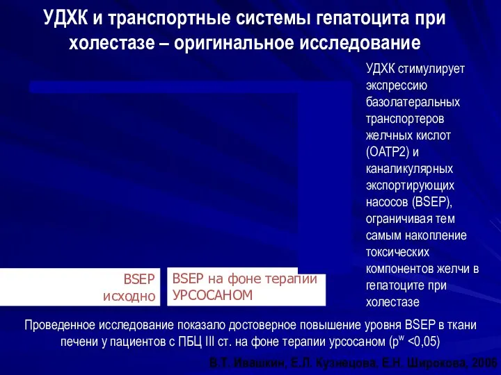 Проведенное исследование показало достоверное повышение уровня BSEP в ткани печени