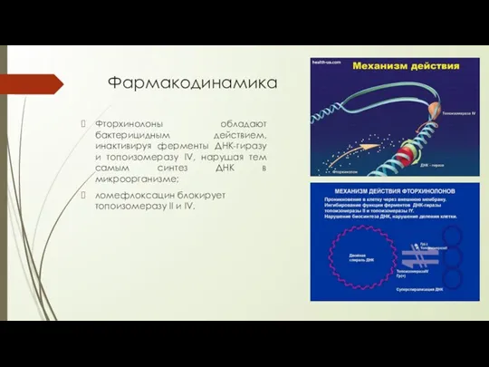 Фармакодинамика Фторхинолоны обладают бактерицидным действием, инактивируя ферменты ДНК-гиразу и топоизомеразу