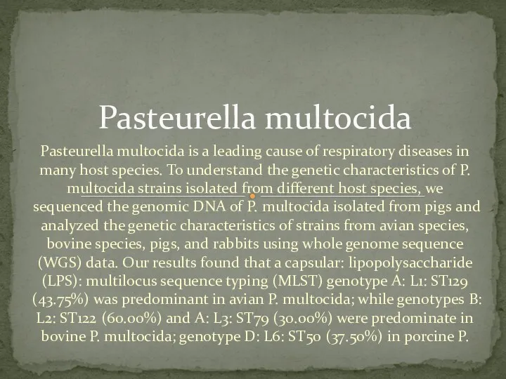 Pasteurella multocida is a leading cause of respiratory diseases in many host species.