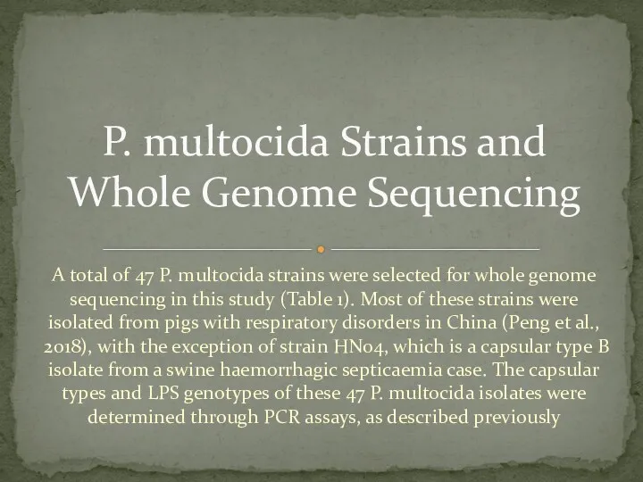 A total of 47 P. multocida strains were selected for whole genome sequencing
