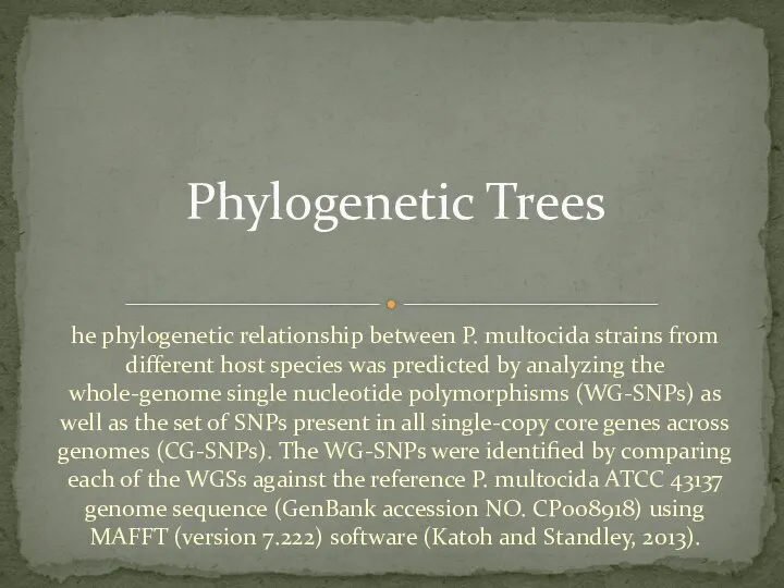 he phylogenetic relationship between P. multocida strains from different host