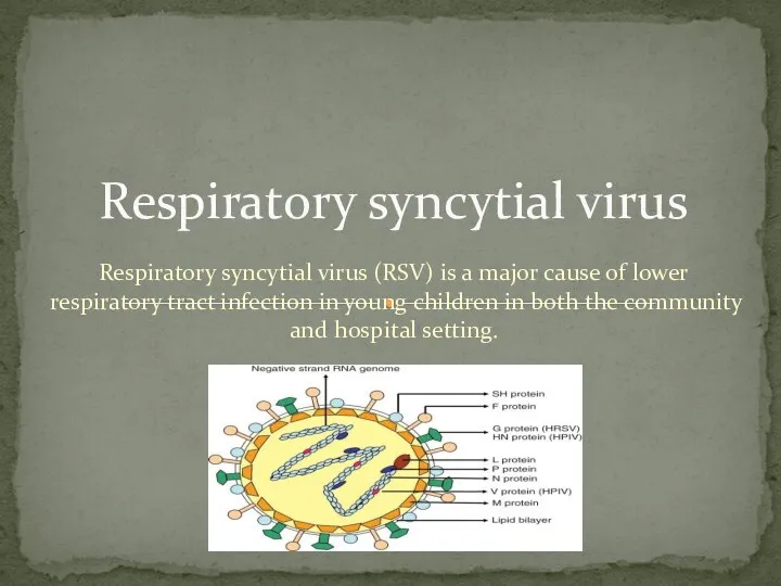 Respiratory syncytial virus (RSV) is a major cause of lower respiratory tract infection