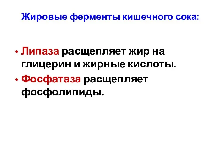 Жировые ферменты кишечного сока: Липаза расщепляет жир на глицерин и жирные кислоты. Фосфатаза расщепляет фосфолипиды.