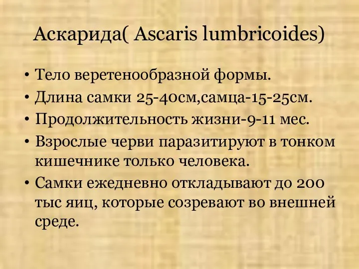 Аскарида( Ascaris lumbricoides) Тело веретенообразной формы. Длина самки 25-40см,самца-15-25см. Продолжительность