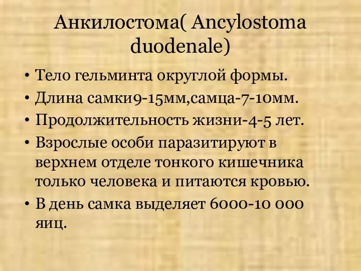 Анкилостома( Ancylostoma duodenale) Тело гельминта округлой формы. Длина самки9-15мм,самца-7-10мм. Продолжительность