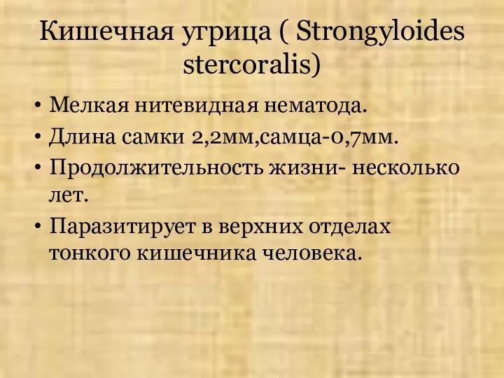 Кишечная угрица ( Strongyloides stercoralis) Мелкая нитевидная нематода. Длина самки