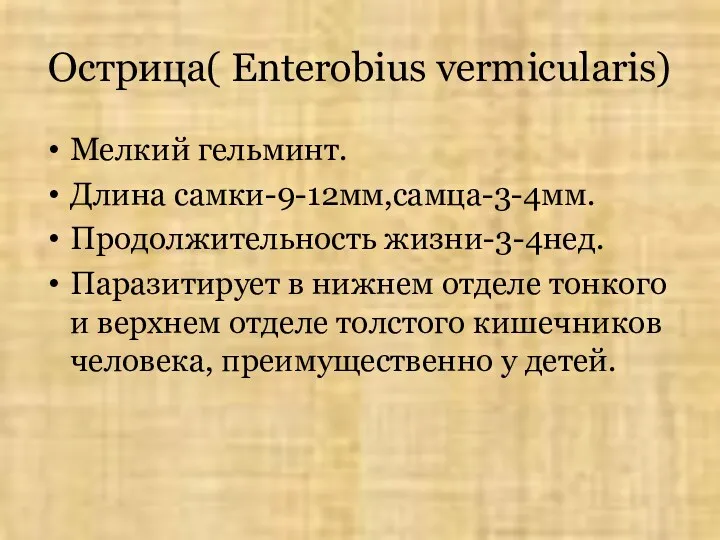 Острица( Enterobius vermicularis) Мелкий гельминт. Длина самки-9-12мм,самца-3-4мм. Продолжительность жизни-3-4нед. Паразитирует