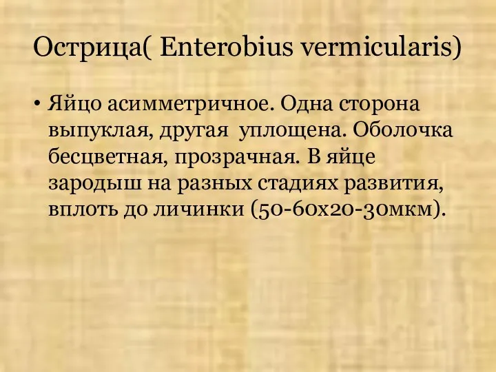 Острица( Enterobius vermicularis) Яйцо асимметричное. Одна сторона выпуклая, другая уплощена.