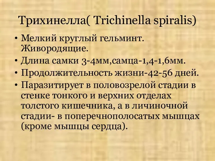 Трихинелла( Trichinella spiralis) Мелкий круглый гельминт. Живородящие. Длина самки 3-4мм,самца-1,4-1,6мм.