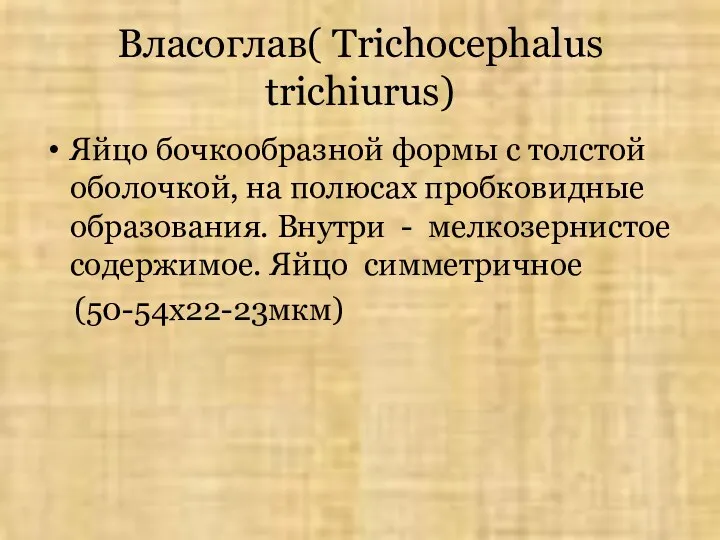 Власоглав( Trichocephalus trichiurus) Яйцо бочкообразной формы с толстой оболочкой, на