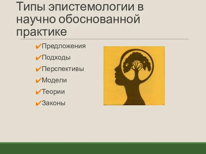 Типы эпистемологии в научно обоснованной практике Предложения Подходы Перспективы Модели Теории Законы