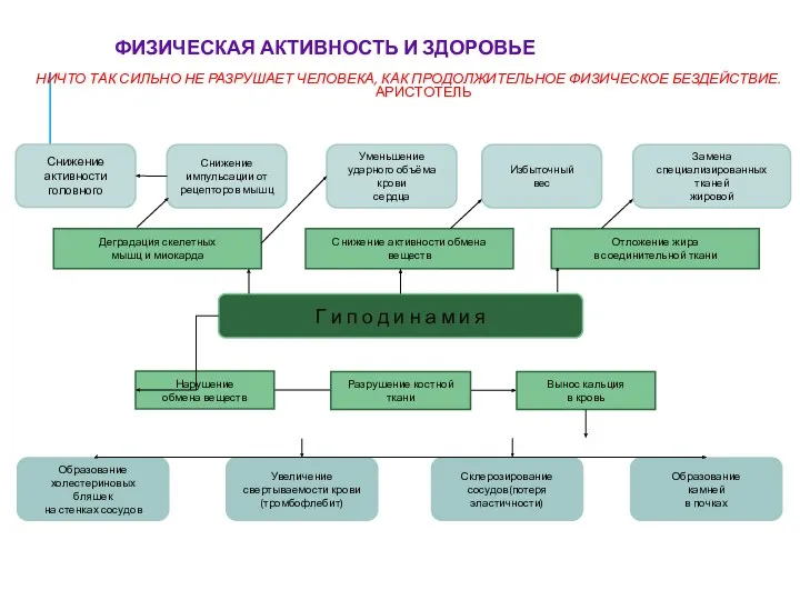 ФИЗИЧЕСКАЯ АКТИВНОСТЬ И ЗДОРОВЬЕ НИЧТО ТАК СИЛЬНО НЕ РАЗРУШАЕТ ЧЕЛОВЕКА,